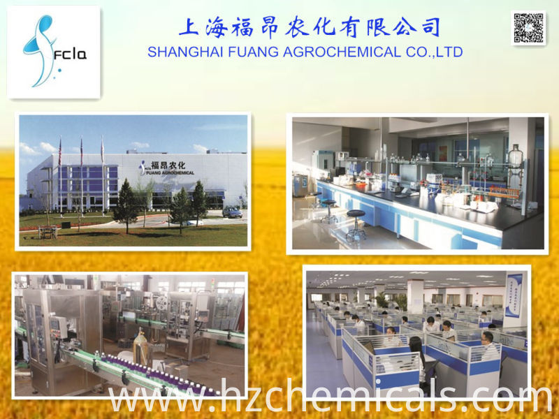 Agrochemicals Cabbage Caterpillar Eco-Friendly Vegetable Insecticide Pest Control Bacillus Thuringiensis